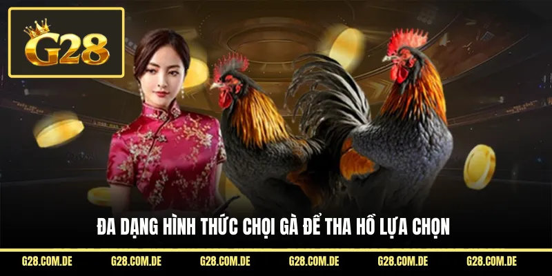 Đa dạng hình thức chọi gà để tha hồ lựa chọn