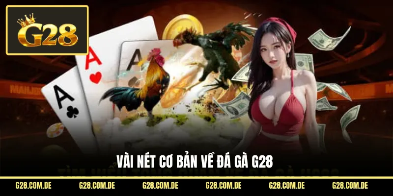 Vài nét cơ bản về đá gà G28